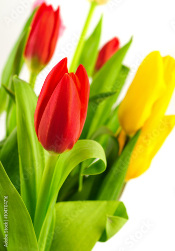 Red and yellow tulips.