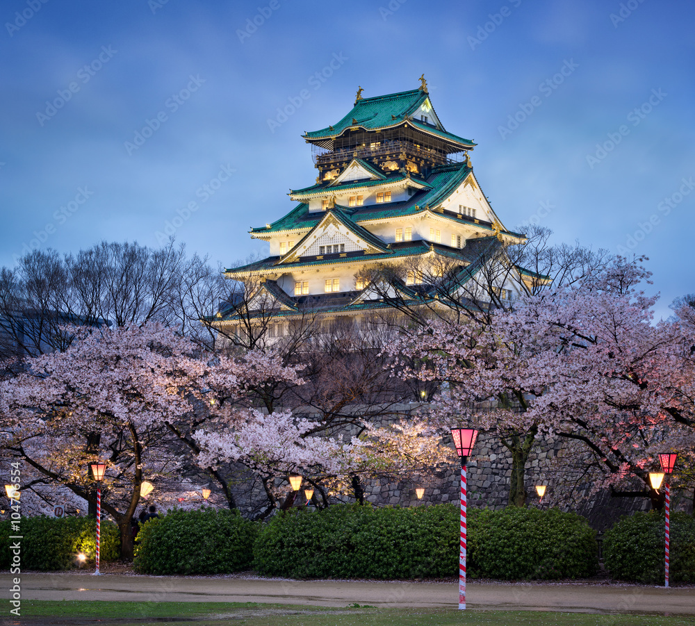 Naklejka premium Zamek Osaka w Japonii w okresie kwitnienia wiśni wiosną