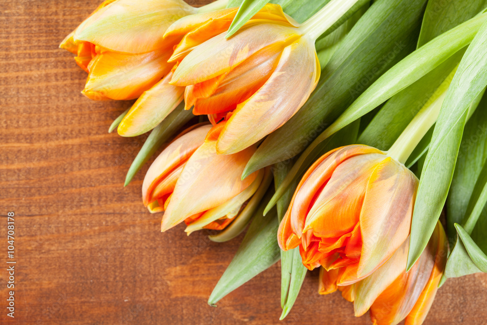 Fresh tulips