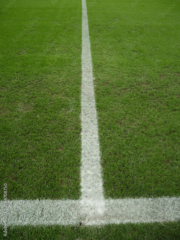 lines at sport stadium