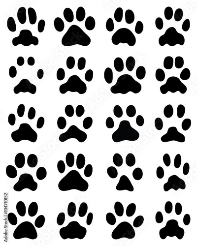 Black print of cats paws on white background, vector