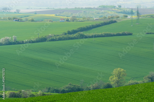Landscape with Agricultural Fields