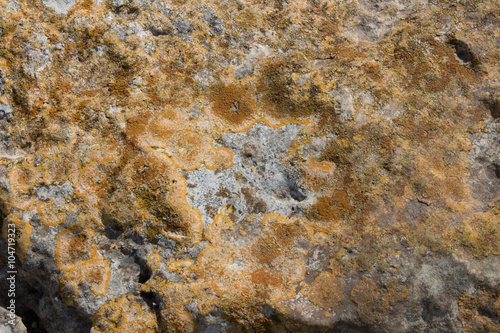 stone texture 