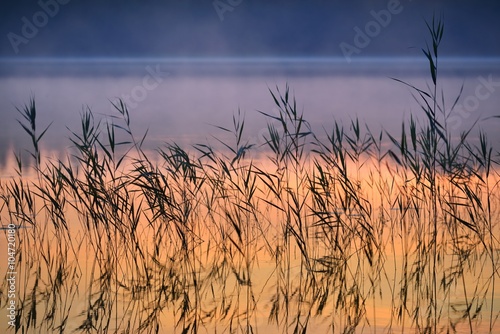 Obraz Jezioro Saimaa w Finlandii