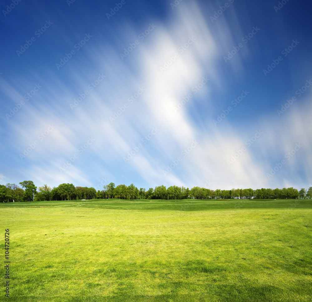 Meadow with green spring grass Meadow with green spring grass