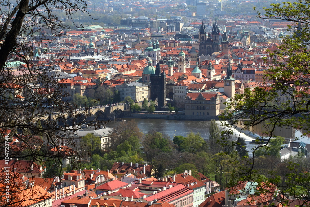 Prague/ beautiful view of  the city of Prague 