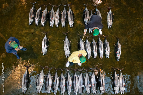 Katsuura Nigiwai Market in Wakayama, Japan photo