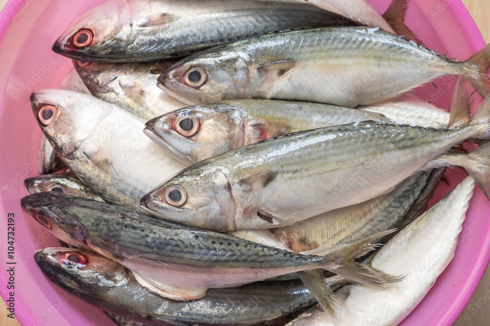 Fresh sea fish in pink bowl Fresh sea fish in pink bowl