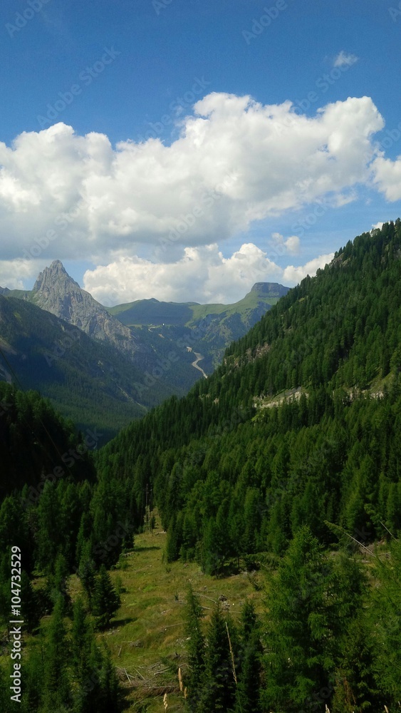 verde sulle Alpi