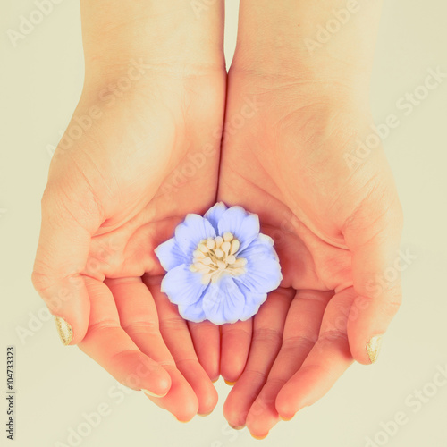 flower in women's hands