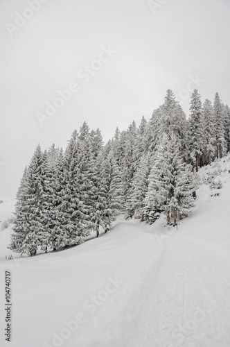 Grindelwald, Dorf, Bergdorf, Bussalp, Winterwanderweg, Schlittelweg, Waldweg, Eiger, Alpen, Berner Oberland, Winterferien, Winter, Schweiz