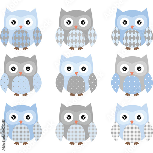 Blue and Grey Cute Owl photo