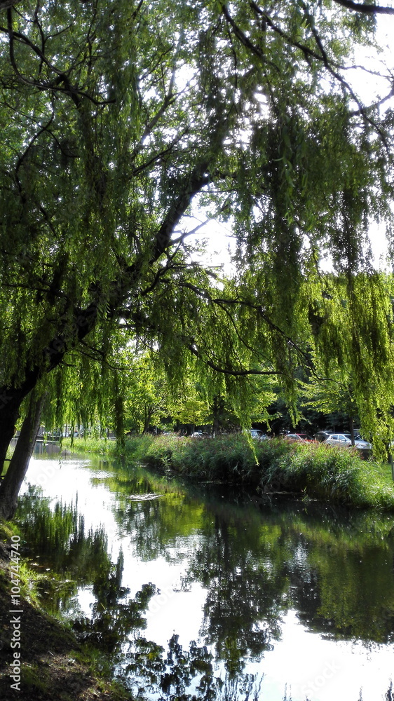 Greenery around canal in Dublin Greenery around canal in Dublin