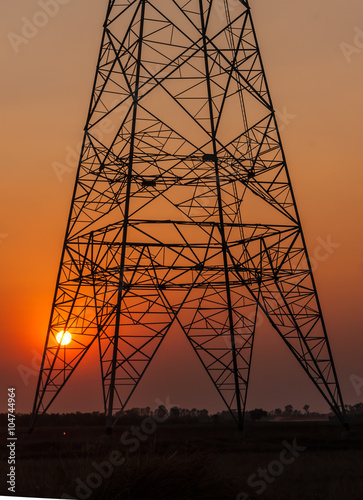 silhouette electricity post in the cornfield and sunset