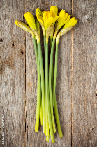 Bunch of yellow daffodil flowers