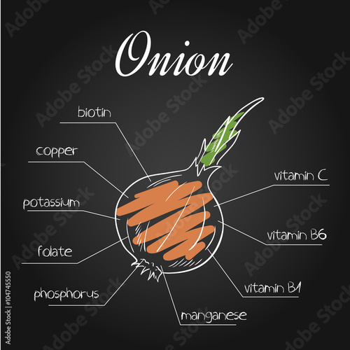 vector illustration of nutrients list for  onion on chalkboard backdrop