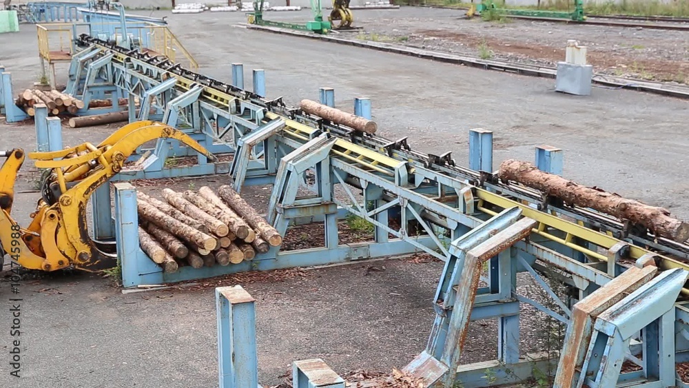 Automatic sorting logs diameter at the sawmill Automatic sorting logs diameter at the sawmill