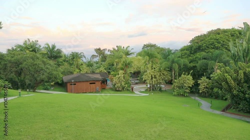 Swifts (swallows, martins) flying above green lawn