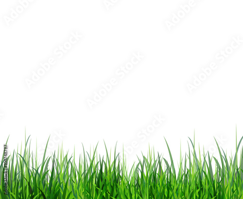 Grass green border