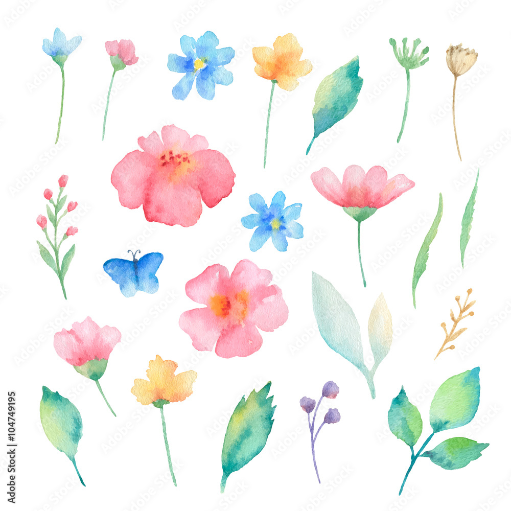 Obraz premium Watercolor set of flowers.