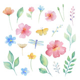 Watercolor set of flowers.