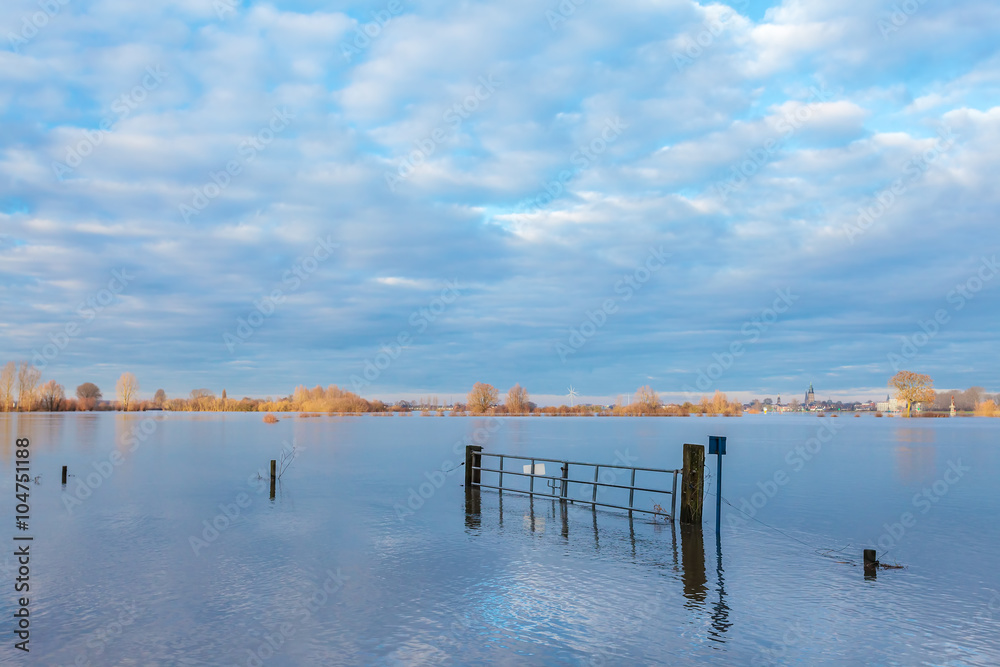 Obraz premium Flooded field in front of the Dutch river IJssel