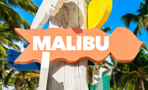 Malibu direction sign with palm trees photo