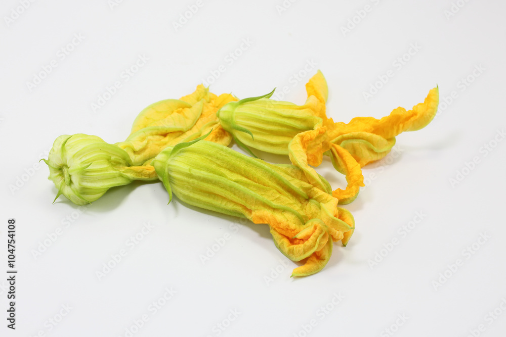 Zucchini  pumpkin flower