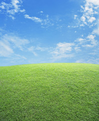 Green grass field with blue sky, nature background