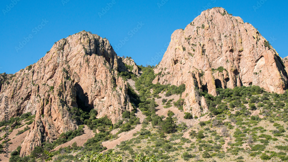 Obraz premium Big Bend National Park