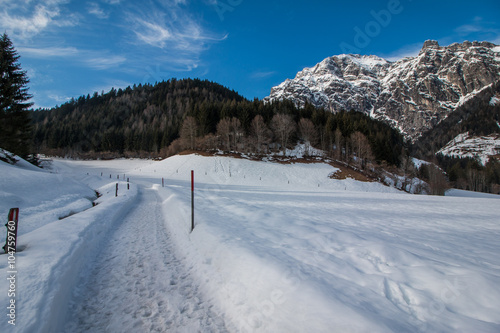 Spazierweg in den Bergen, Leogang © Patrick Daxenbichler
