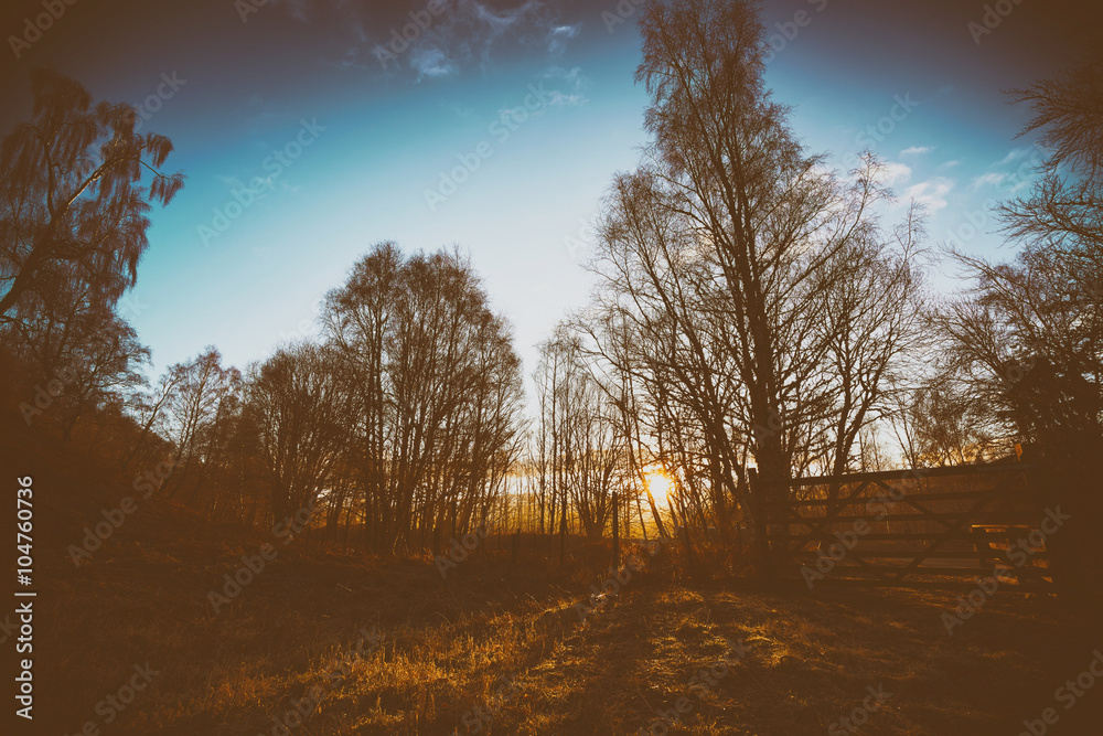 Fototapeta premium Cairngorms, Scottish Highlands