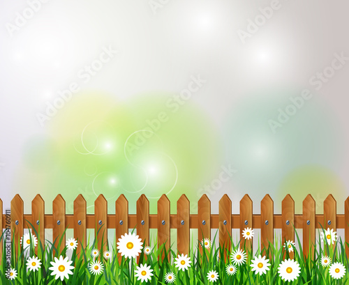 Green grass spring background