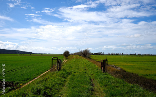 panorama di campagna e terreni coltivati in primavera photo