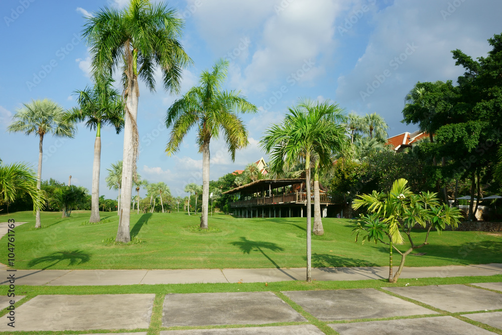 beach at the resort