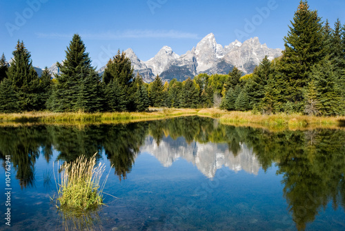 Reflection of the Grand Tetons Near Jackson Hole  Wyoming in Grand Teton NP  USA.