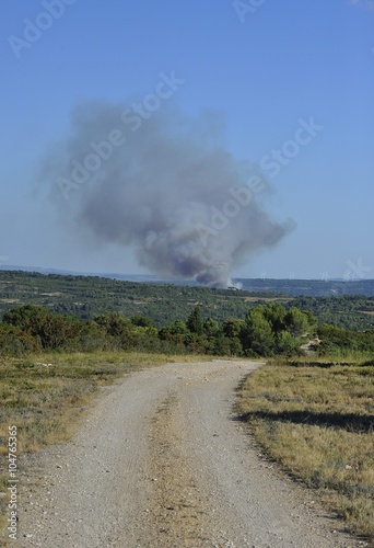 incendie de forêt dans la région de Minerve en région du Languedoc Roussillon