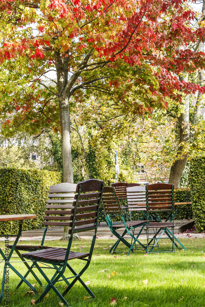 Coffee tables and chairs under a tree with red leaves in autumn park.