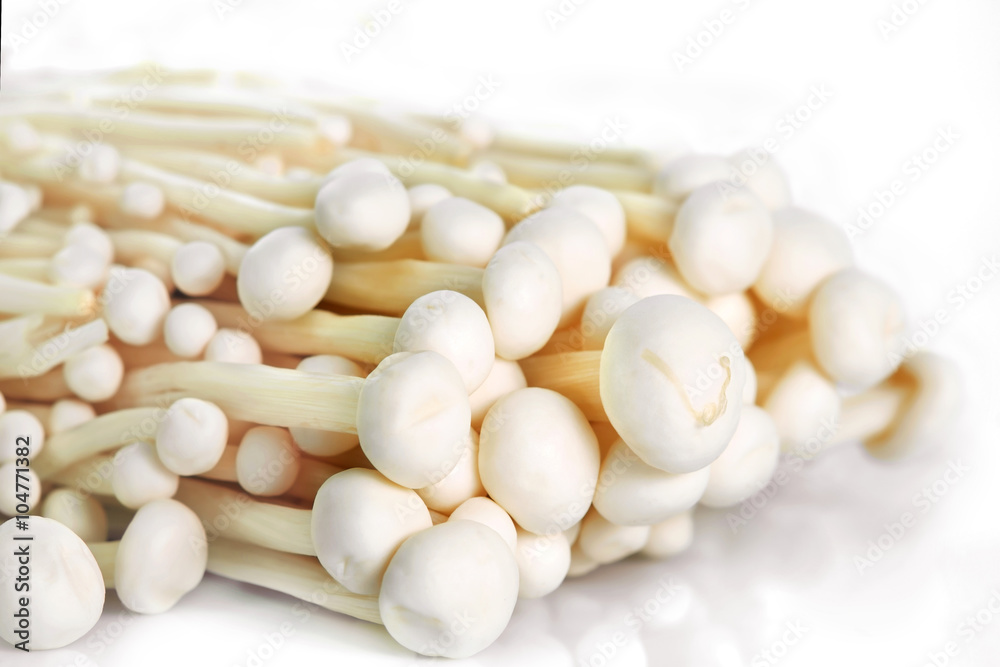Enoki mushroom / Enoki mushroom on white background. Enoki mushroom / Enoki mushroom on white background.