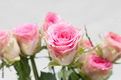 Arranged pink roses