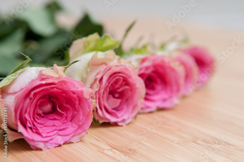 Arranged pink roses