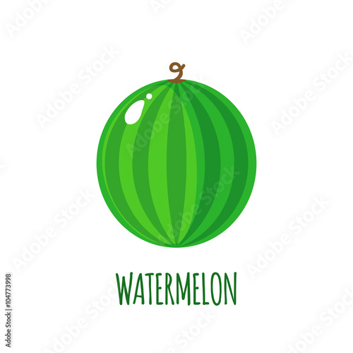 Watermelon icon in flat style on white background