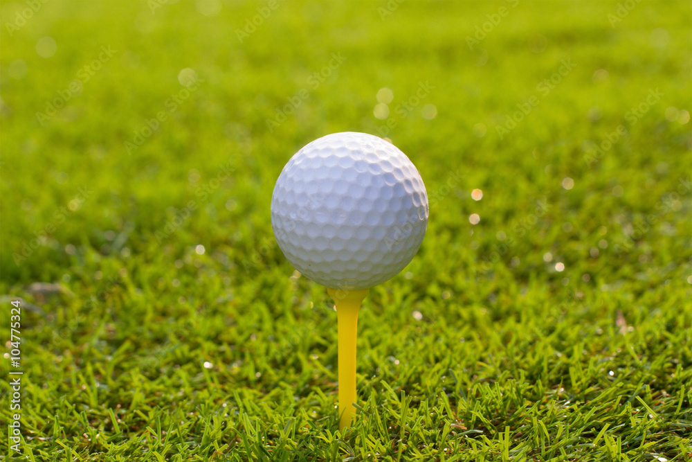 Golf ball on tee in grass