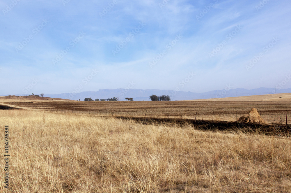 Fenced Field of Dry Grass in South African Winter Landscape Fenced Field of Dry Grass in South African Winter Landscape