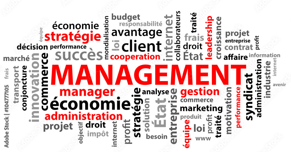 management (gestion, dirigeant, CEO)