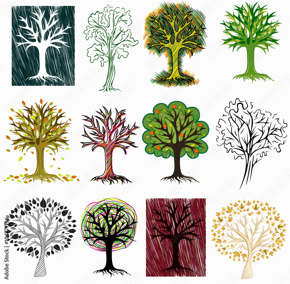 Top 149+ types of trees drawing - vietkidsiq.edu.vn