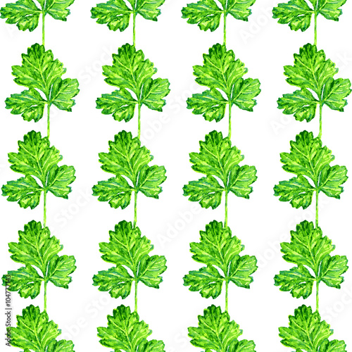 Parsley watercolor illustration on white. Vintage seamless pattern. Can be used as decoration for wallpapers, backgrounds, web sites. Nature theme.