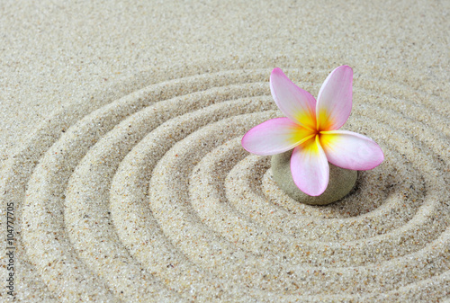 Photography zen stones with frangipani flower with sand background