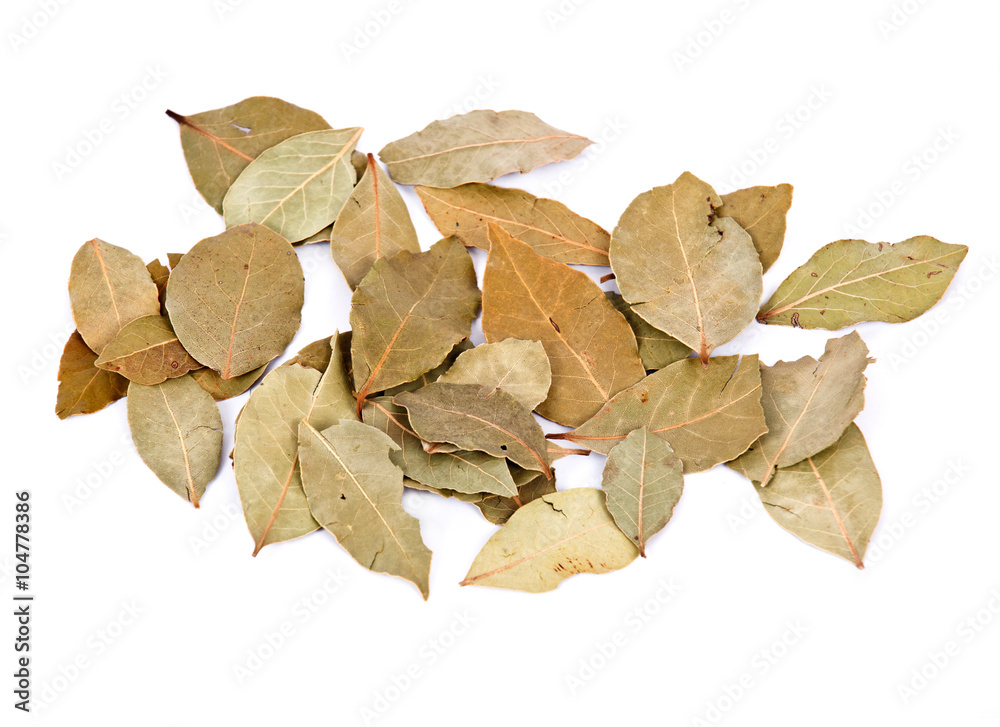 Bay leaves separated on white background