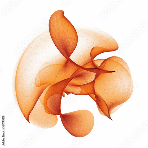 Fototapeta Naklejka Na Ścianę i Meble -  orange abstract flower